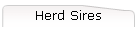 Sires