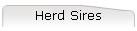 Herd Sires